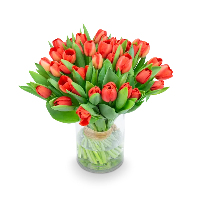 Kytice červených tulipánů